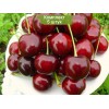 Саженцы черешни Крупноплодная черная - 5 шт.: фото и описание